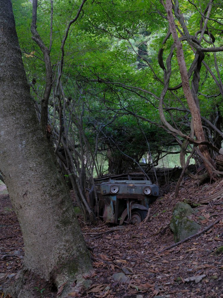 手前の木を入れて縦位置で。車体の脇から若い木がスクスク育っている。