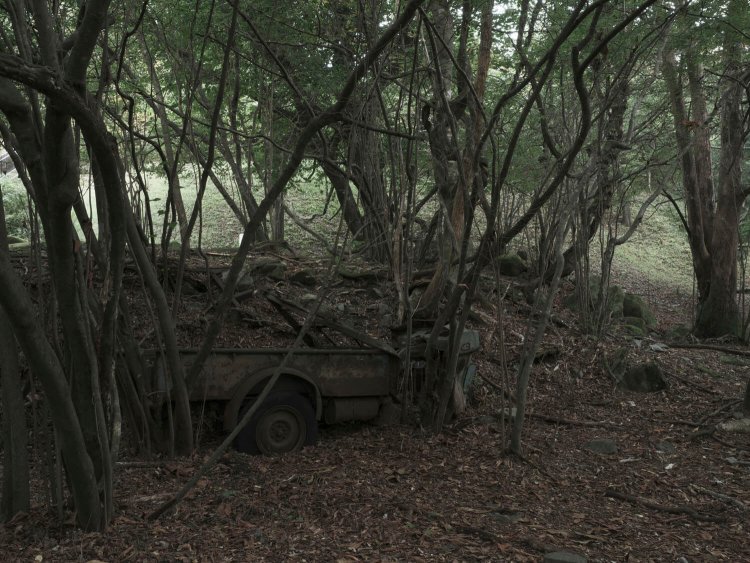 写真奥はちょっとした広場だ。人がいなければ森閑（しんかん）とした雑木林にSCB7型が佇んでいるようにみえる。