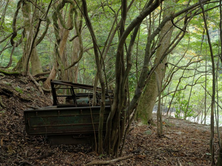 背後から。奥は奥多摩湖のほとり。かつてはこの辺りも集落があったという。