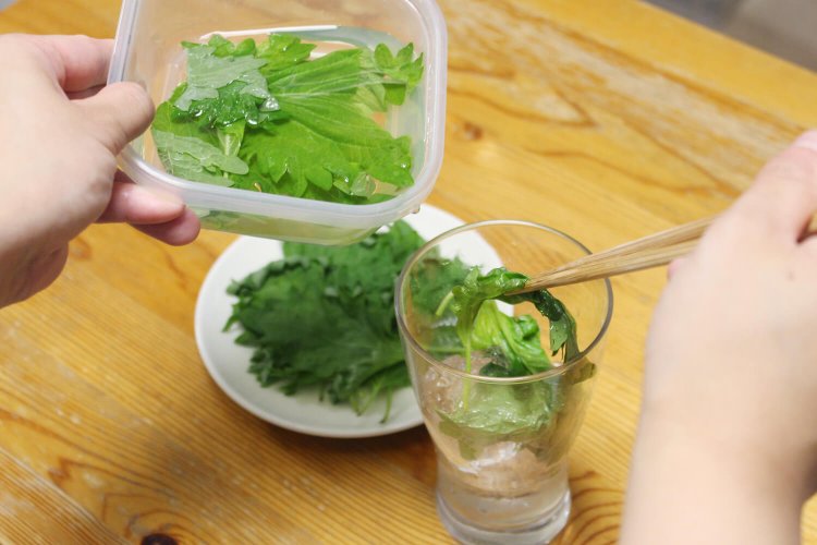 「全てをハイにする」第14弾！綱島サワーってなに？ 近年広がるご当地サワーの新星に迫る