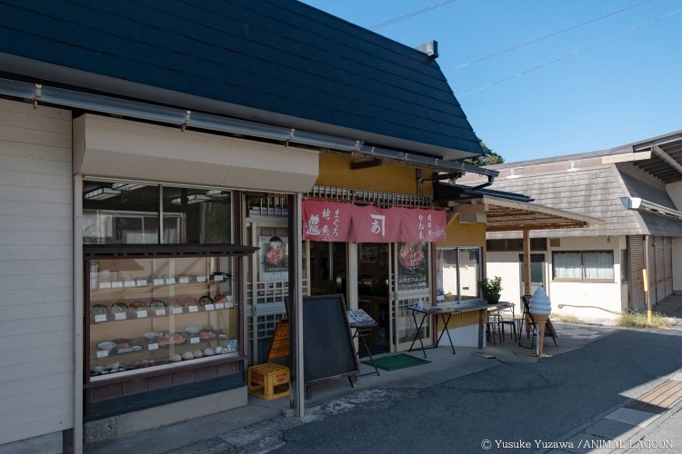 今回訪れたのは『磯料理かねあ』。