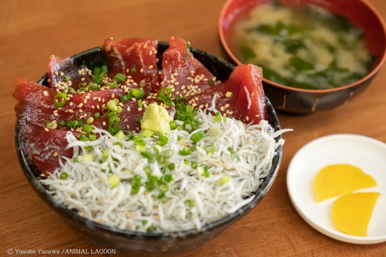 たくあんと味噌汁もついて1540円。