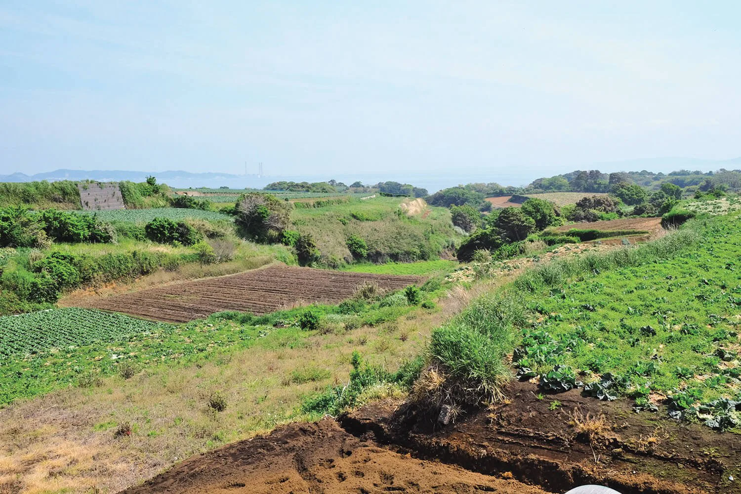 東京発日帰り旅 神奈川県 三浦市 潮風に吹かれて三浦半島最南端の海岸線を歩く おすすめ散歩コース 神奈川 さんたつ By 散歩の達人