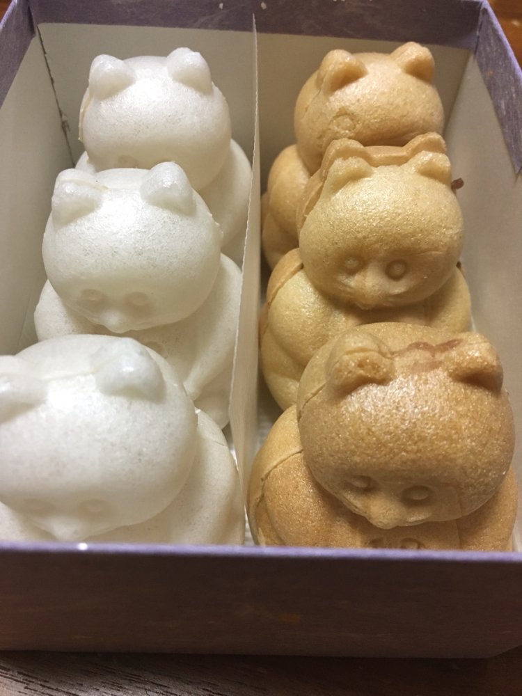 キツネの行列ならぬタヌキの行列。