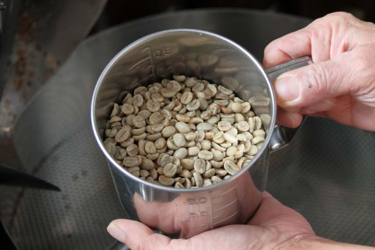 焙煎前のコーヒー生豆はその色からグリーンコーヒーと呼ばれる。