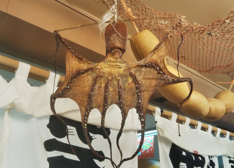 寅さんに物干し竿に吊るされてしまったタコ社長。こんな姿になっちゃいました。ナンマンダブ、ナンマンダブ…。