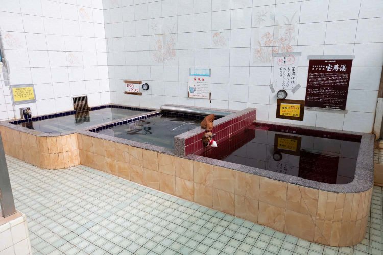 右から漢方薬入りの「宝珠湯」と、座風呂、ミクロバイブラバス。薬湯には水埋め厳禁の注意書きがある。