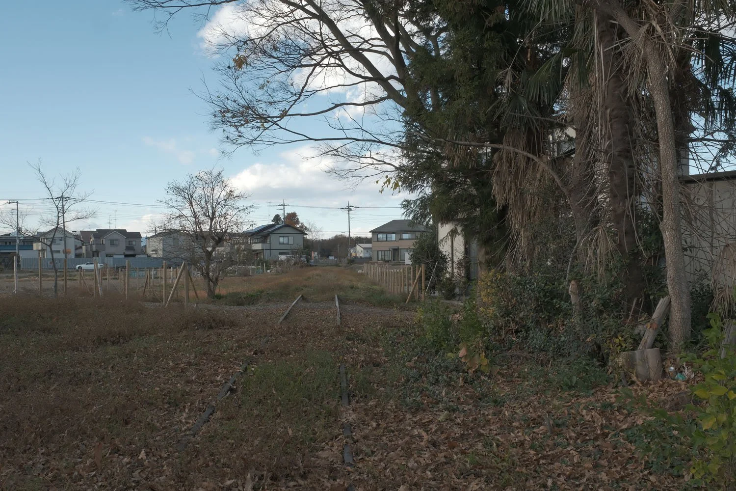 廃線跡の聖地を巡礼する 安比奈線その 廃なるものを求めて 第6回 廃なるものを求めて さんたつ By 散歩の達人