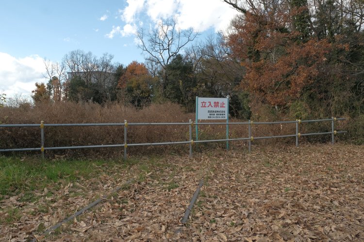 立入禁止の先にある雑木林。