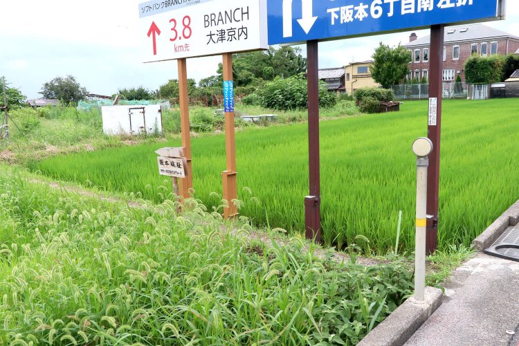 広告看板の下に小さな「坂本城址」の木の立て札。