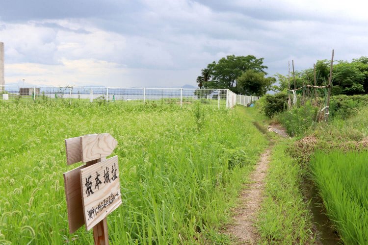 畦道のような小道が延びている。
