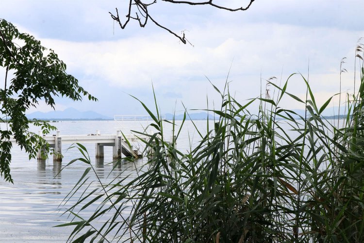 石垣跡から琵琶湖対岸の眺め。正面やや左の尖った山が観音寺城。その左手そばに安土城があった。