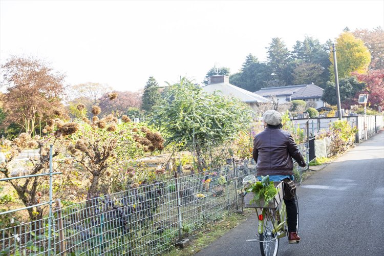 駅から遠く農家みちも1kmほどあるので、武蔵小金井駅か東小金井駅にあるシェアサイクル「スイクル」が便利。エコバッグは必携だ。