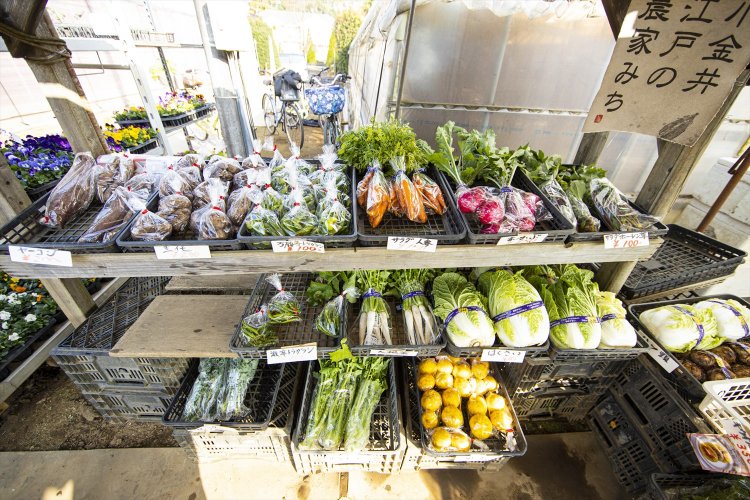 1500坪の農地に60種類以上を栽培。そのほとんどを直売所で売り切る、活気ある農園。キウイやブルーベリーなどのフルーツ系も豊富にそろう。野菜作りや収穫体験ができる貸し農園サービスも行っている。