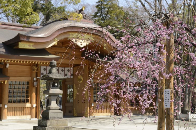 平成23年に改築された随神門。