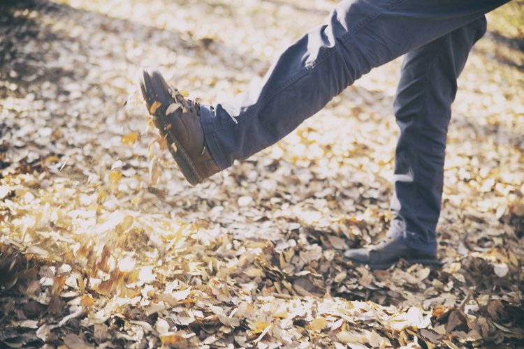 劇団 ハイバイ主宰岩井秀人と小金井