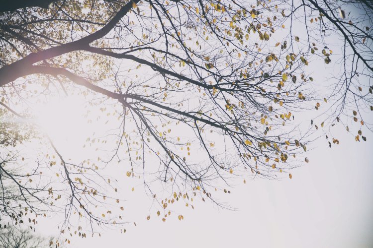 劇団 ハイバイ主宰岩井秀人と小金井