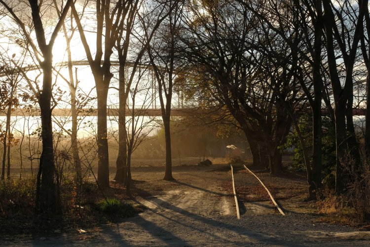 廃線跡の聖地を巡礼する・安比奈線その②～廃なるものを求めて 第7回～