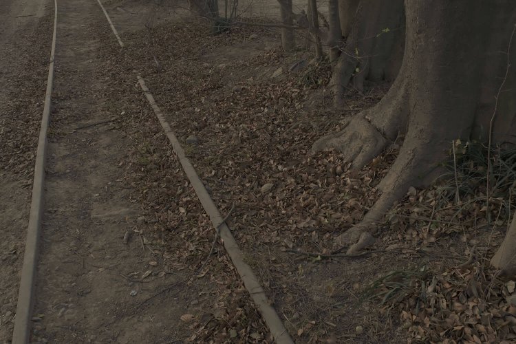 あらゆる角度で撮りたくなる。