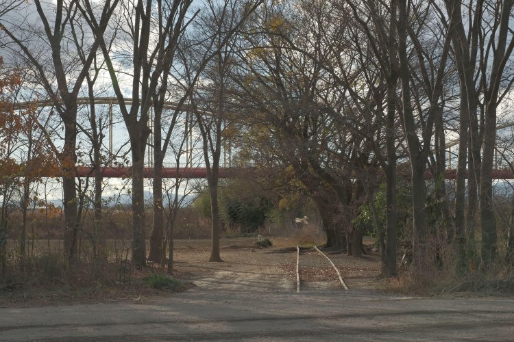 向こう側を見ると、線路が続いていたのだが……。