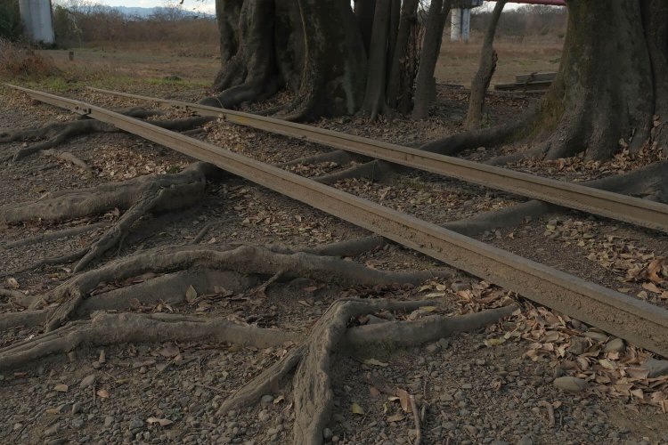 これが“本当の枕木”ってやつか……。