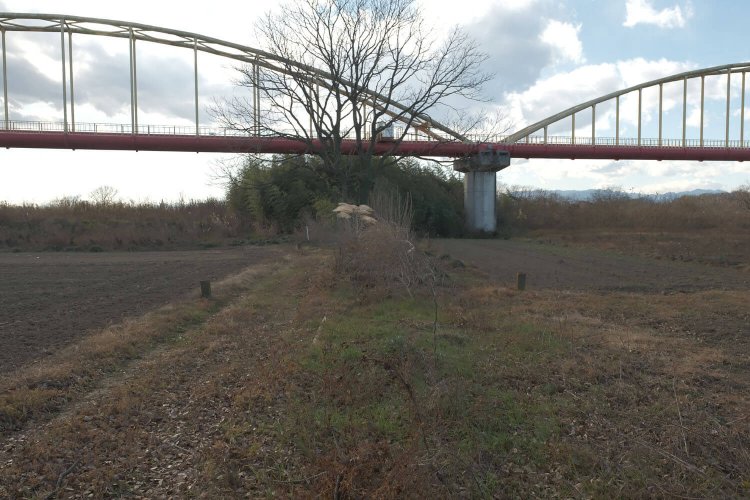 水道橋の先の雑木林に線路があるようだけど、畑などがあって近づくことは困難。