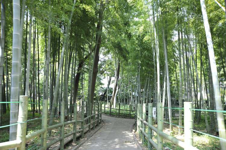 02_すずめのお宿緑地公園
