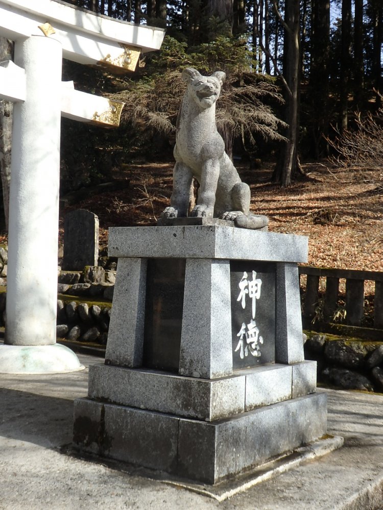 お犬様も対。（2018年）