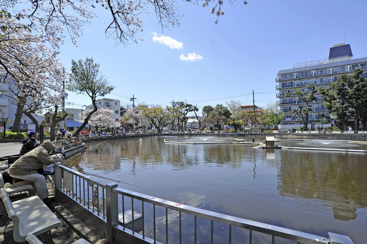 学芸大学駅からはじめる学芸大学・目黒さんぽ〜住宅地に点在する緑の 