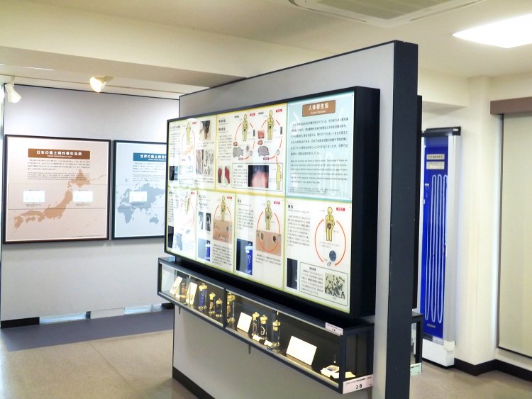 11_目黒寄生虫館