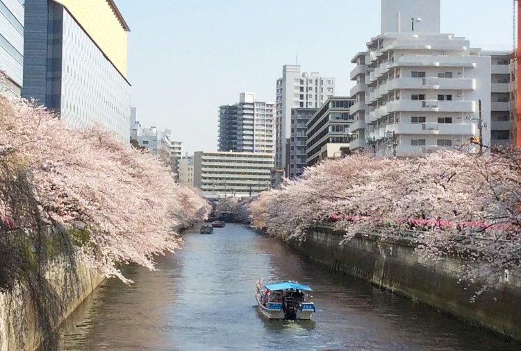 12_目黒川_太鼓橋から