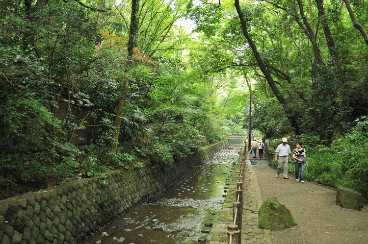 二子玉川駅からはじめる等々力・ 自由が丘さんぽ〜23区内唯一の渓谷とおしゃれタウン満喫さんぽコース〜