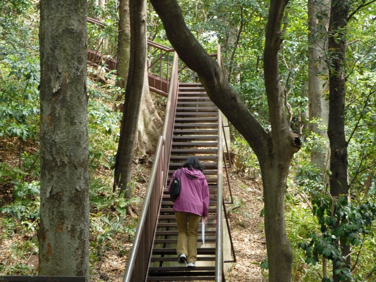 03_上野毛自然公園)