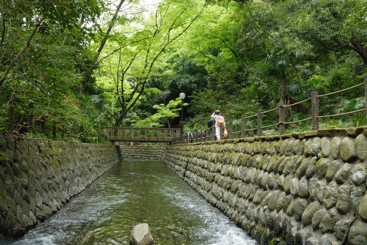 等々力渓谷（とどろぎけいこく）