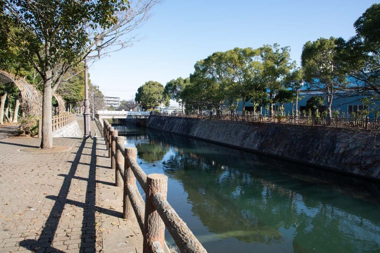 市場近くを流れる海老川。のどかな雰囲気の散歩コースだ。