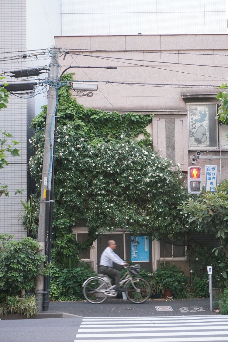 日本を代表する都市の東京。ビルばかりのエリアもあるが、よくよく見れば街なかには緑があふれかえっていたりする。