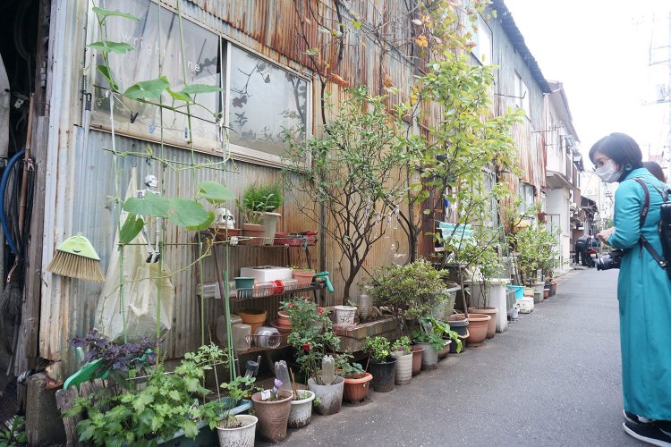 「自分の生活を楽しくするため」「周囲を歩く人の目を楽しませるため」に置かれた路上の園芸。こちらは村田さんの取材時に押上で見かけた光景だ。