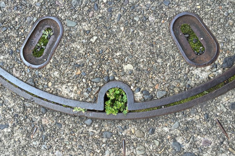 こちらがマンホールの「蓋庭」。パンダのような表情がかわいい。写真提供：村田さん