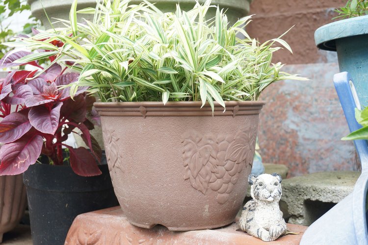 こちらも押上で見た園芸。小さなトラの置物がそっと添えられているあたりに、住民の方の遊び心がはみだしている。