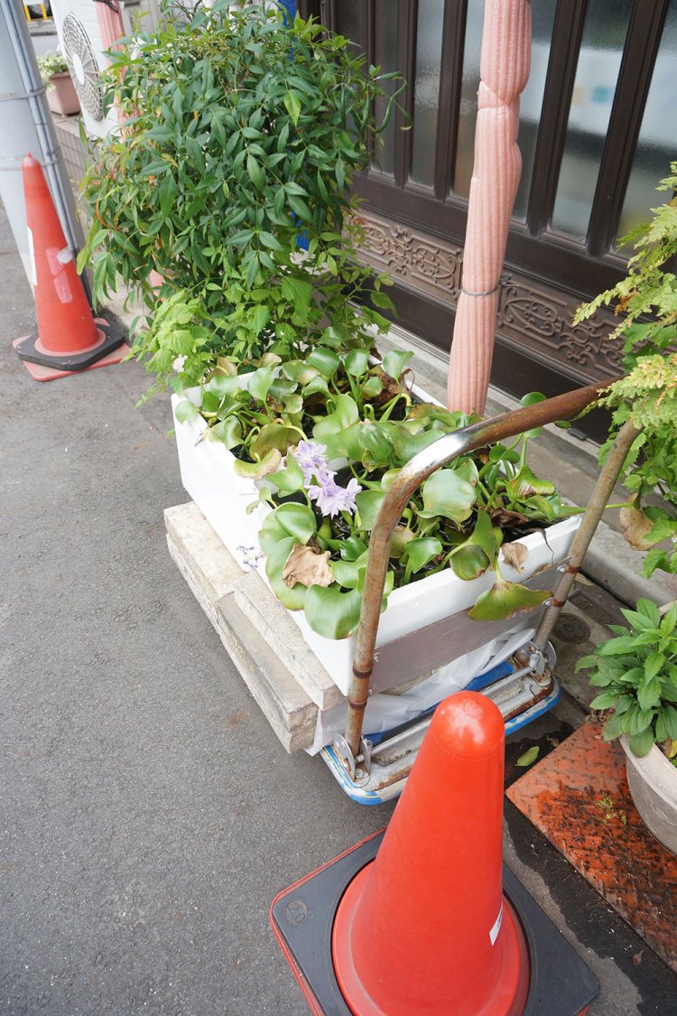 こちらも押上で見かけた台車に乗った路上園芸。「これはモバイル型ですね！」と村田さん。