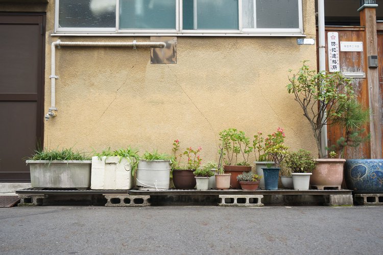 「路肩の前にブロックを敷いて、そこに板を渡しています。こうすると照り返しで鉢が熱くならない効果もあるんです」と村田さん。