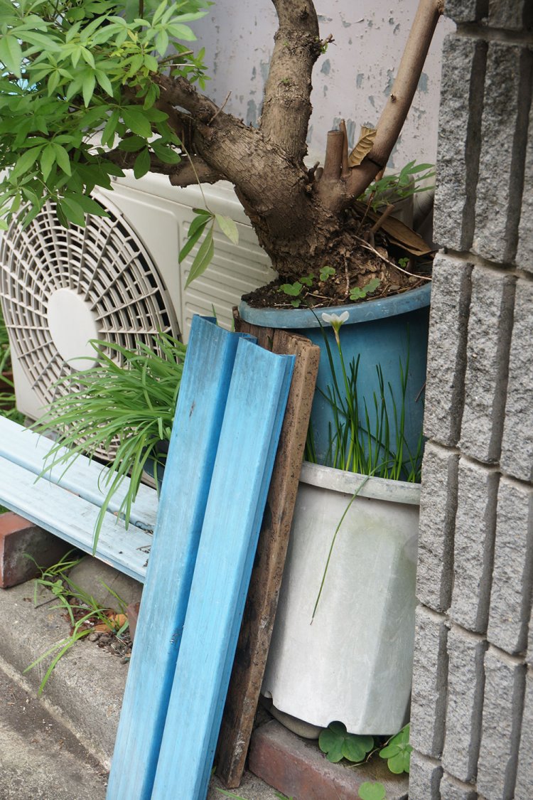 鉢の上に鉢が置かれた状態。これが村田さんが「鉢オン鉢」と呼ぶ状態だ。