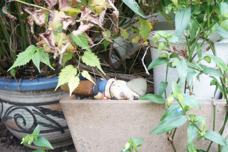 倒れているこびともいた。住民の方は早く起こしてあげてほしい。