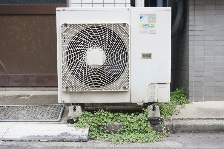 室外機の下に生えているのはツタバウンランという植物だそう。