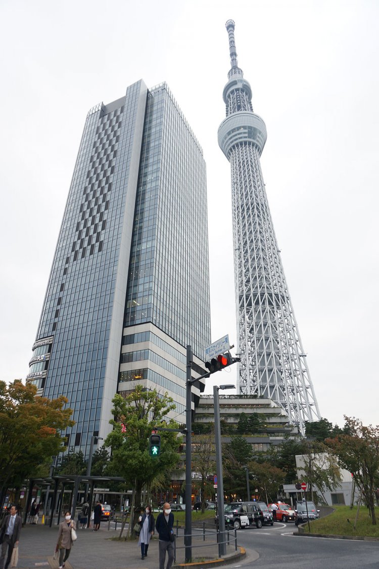 スカイツリーのある押上。だが少し離れれば路上園芸の宝庫だ。