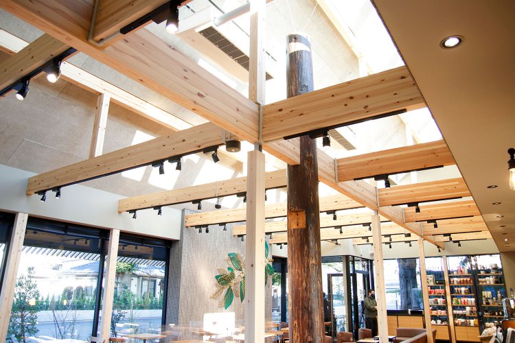 元あった位置近くに設置された丸太柱。あえて古いままに。