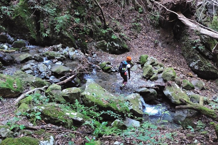 穴路峠から下りてくるとオシノ沢に出る。この道はかつては秋山道といわれ、大月市と秋山村とを結ぶ生活道だった。