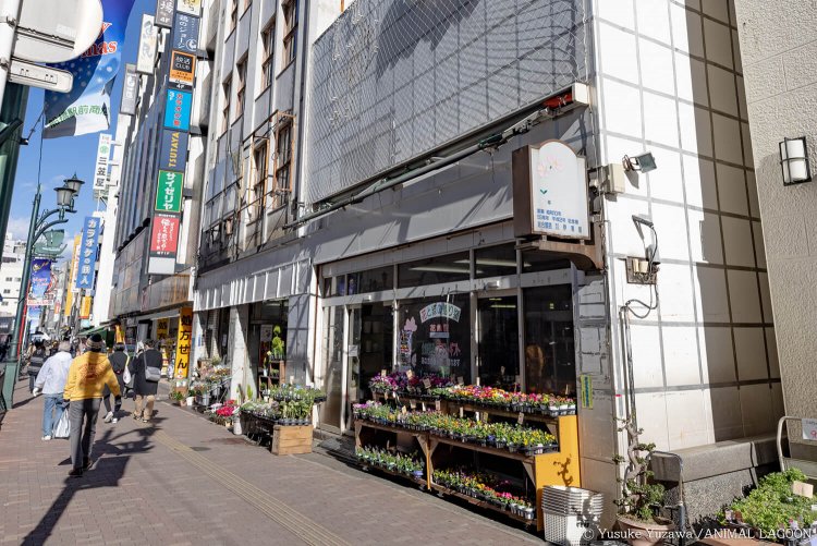 大通りに面したにぎやかな場所にお店を発見。