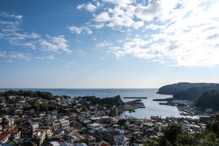 背戸道を抜けて坂の上に立つと、温暖な港町らしいゆったりとした風景が広がっていた。