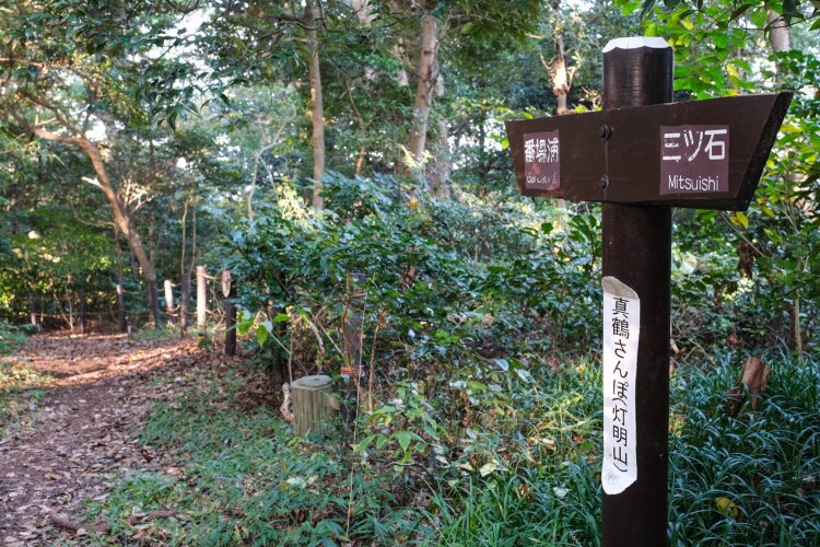 お林の最高地点・灯明山。クスノキなどに遮られて眺望はない。